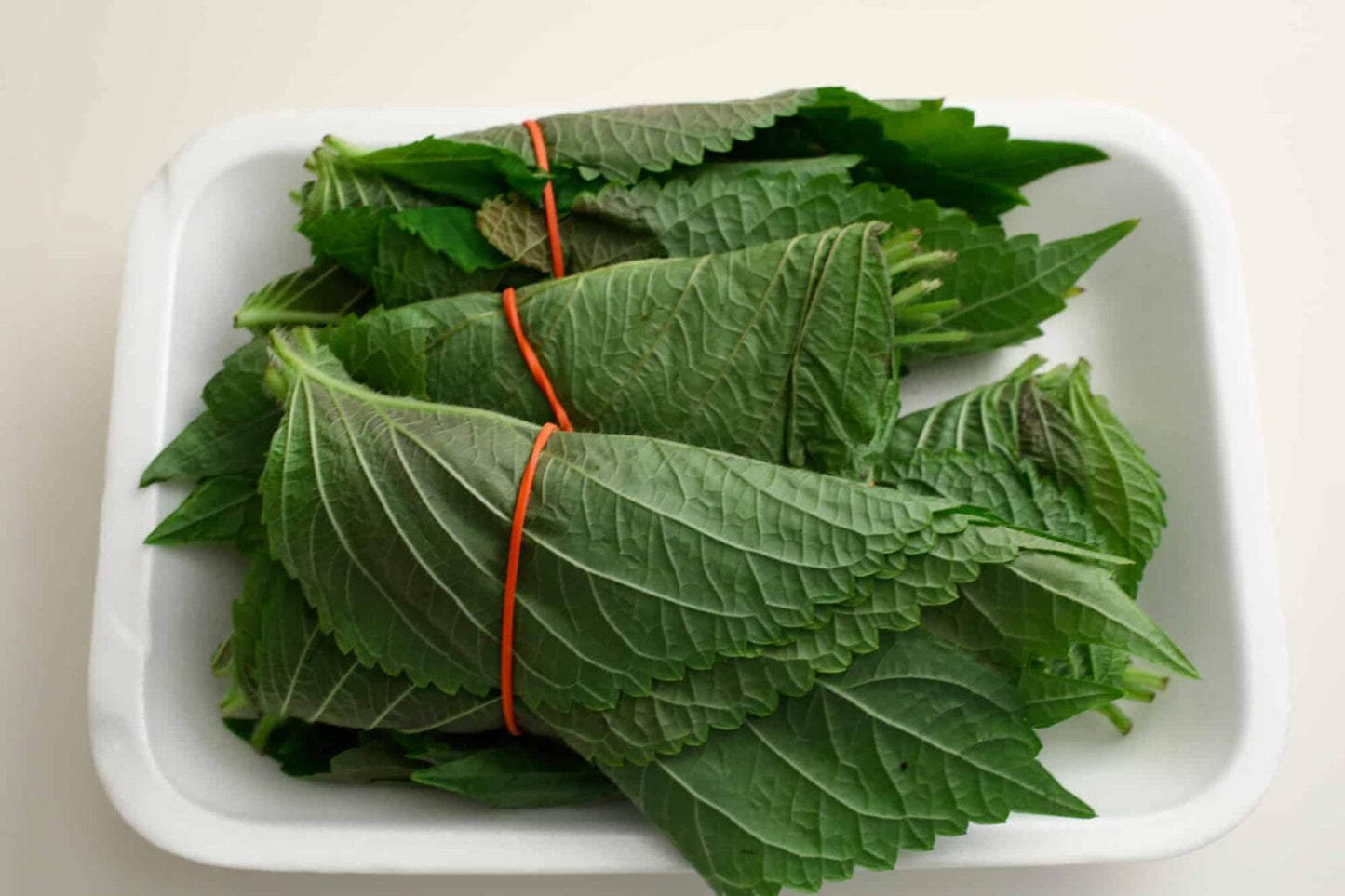 Perilla (Sesame) Leaves - 1 bag